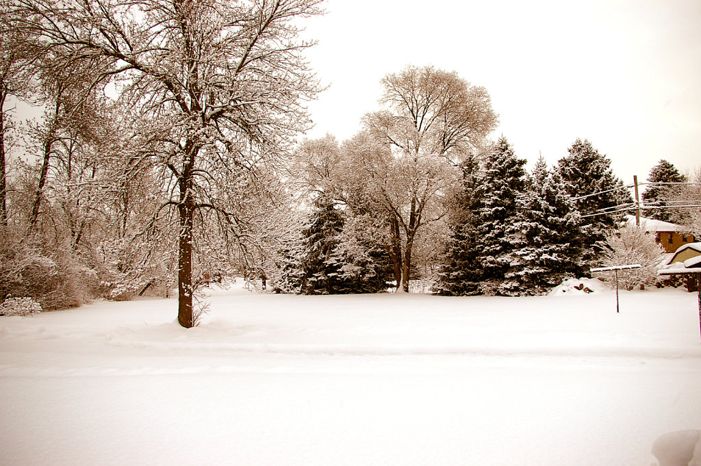 Wisconsin Winter