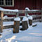 Trimborn-Farm-Winter-K-5-4298.jpg